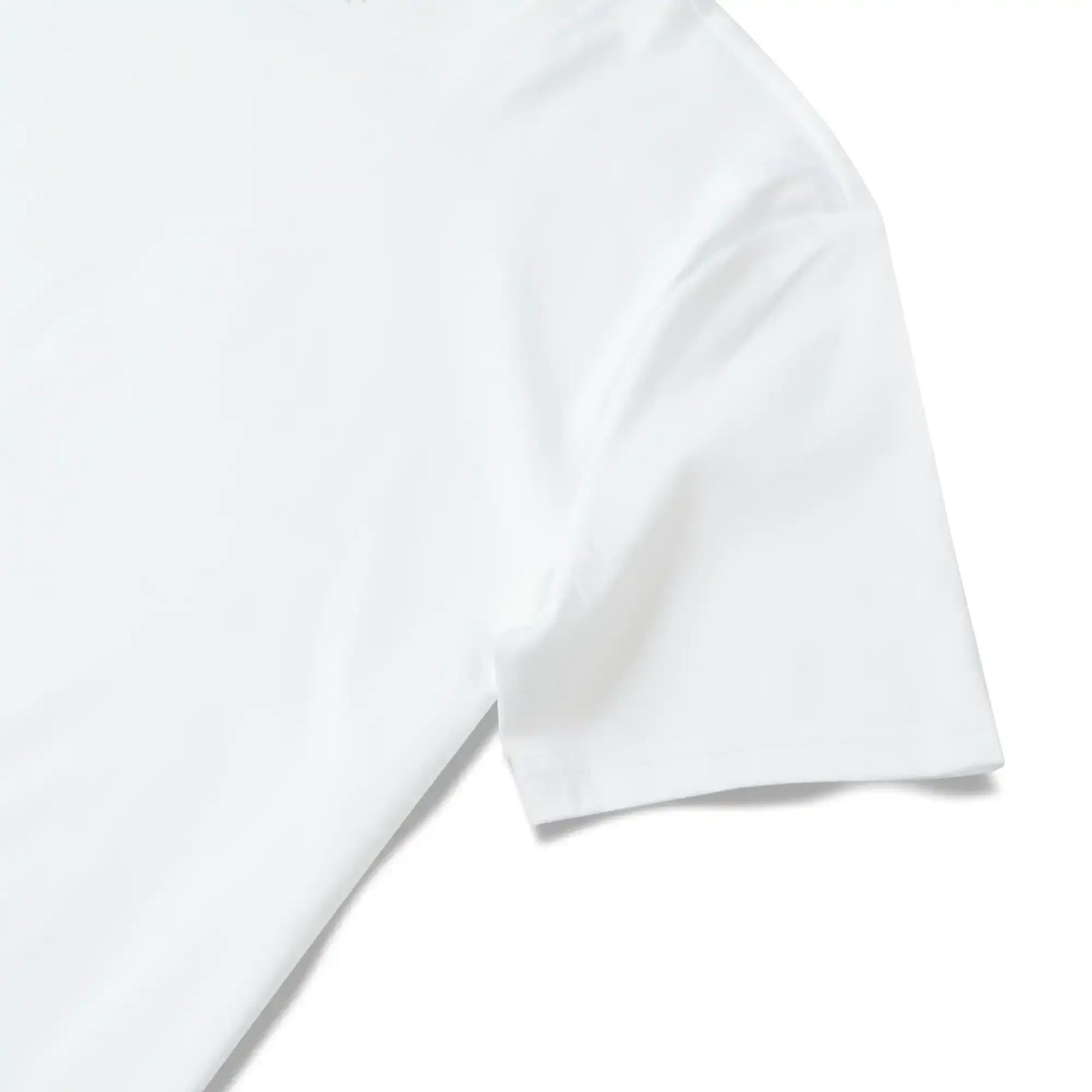 DWTS00254_3